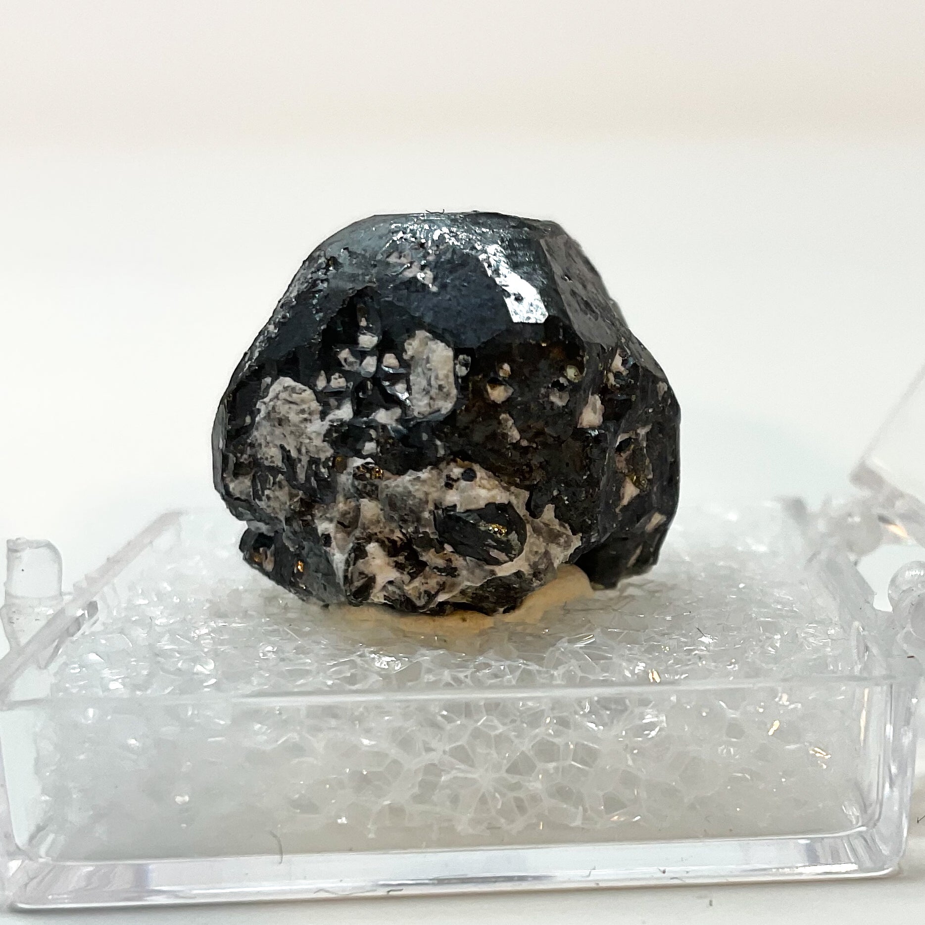 Bornite on Pyrite from Milpillas Mine, Sonora, Mexico