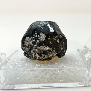 Bornite on Pyrite from Milpillas Mine, Sonora, Mexico