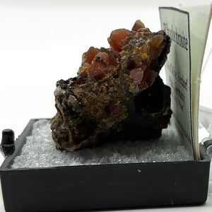 Rhodochrosite Thumbnail from Wolf Mine in Herdorf, Pfalz, Germany