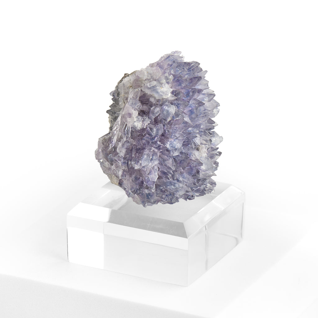 Purple Creedite