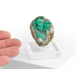 Emerald from Peña Blanca Mine