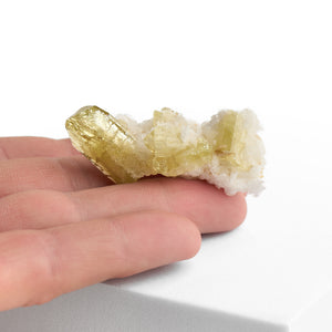Brazilianite on Albite