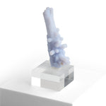 Chalcedony after Anhydrite