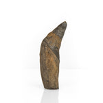 Fossilized Macroraptorial Sperm Whale Tooth, Miocene, USA