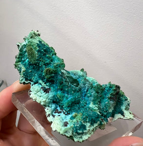 Chrysocolla after Malachite and Azurite