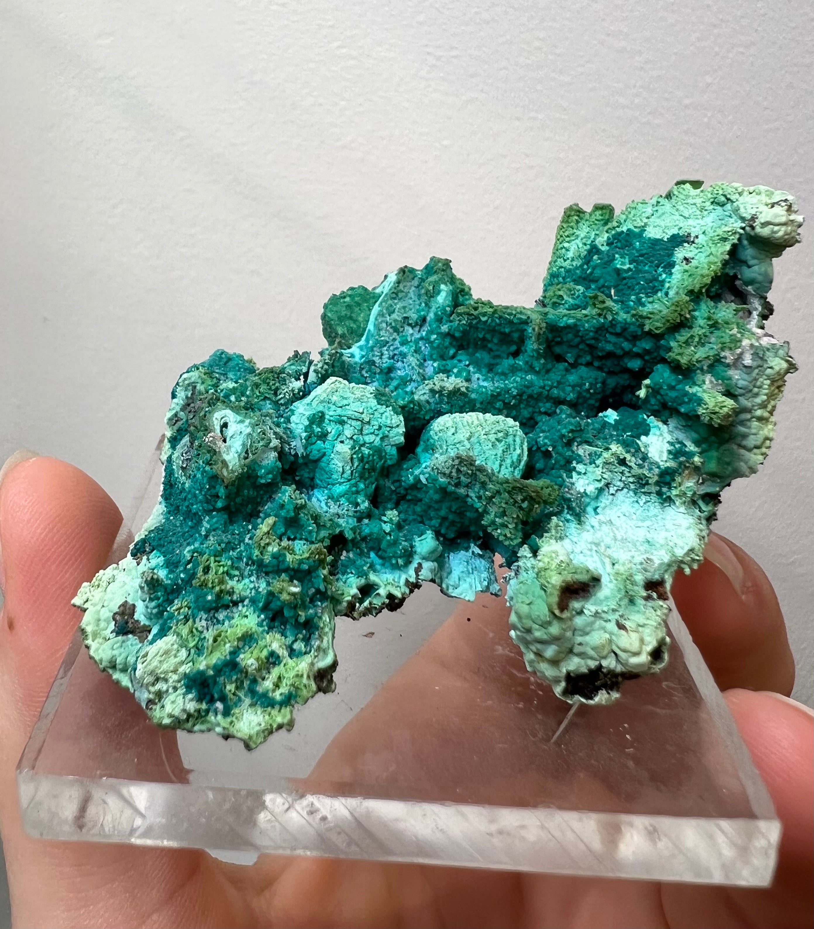 Chrysocolla after Malachite and Azurite