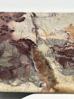 Picture Jasper Slice