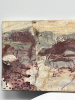 Picture Jasper Slice