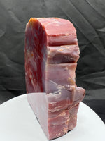 Petrified Wood Slice