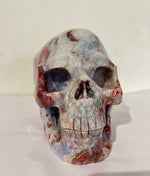 Crazy Lace Agate Skull