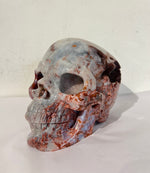 Crazy Lace Agate Skull