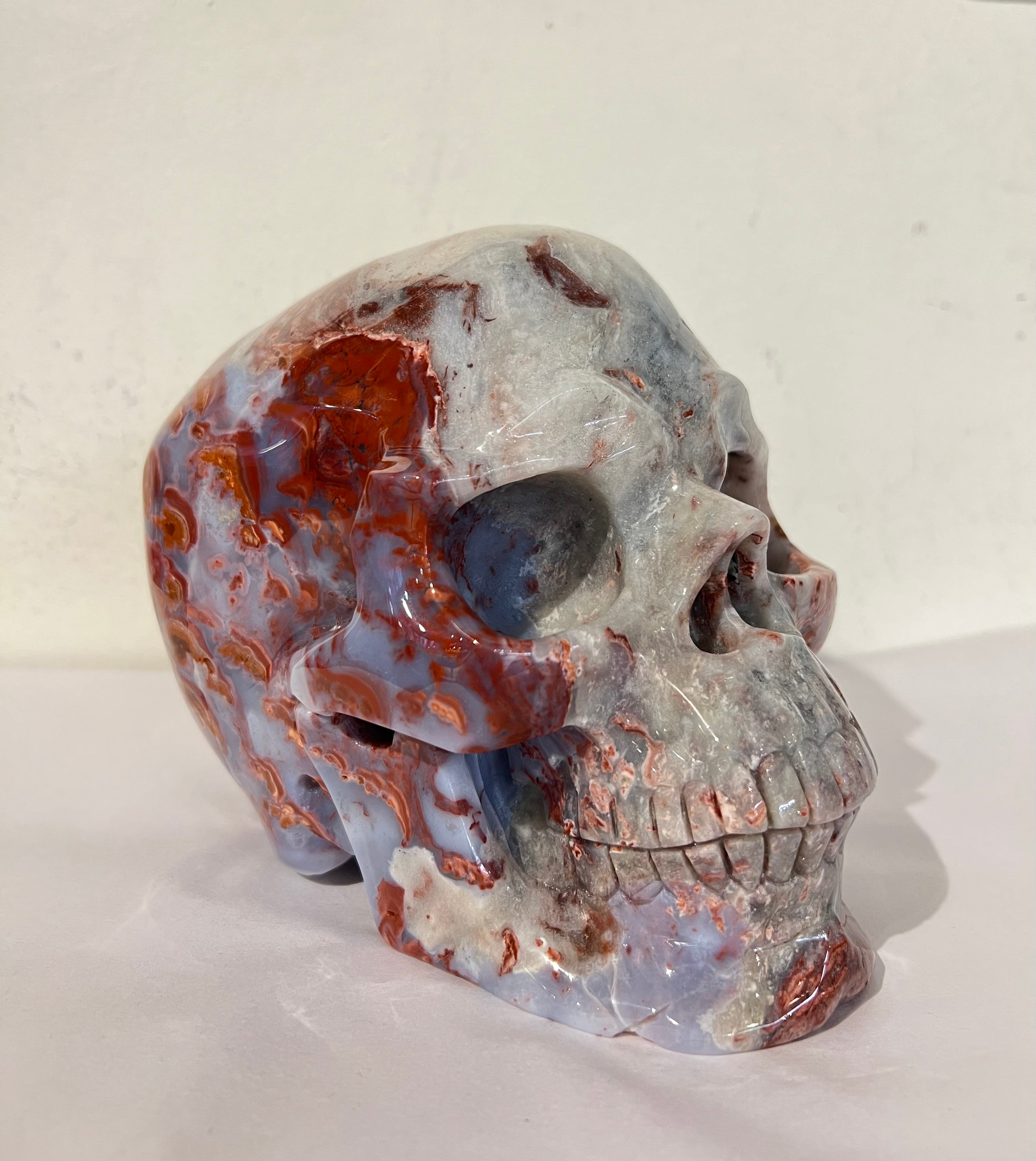 Crazy Lace Agate Skull