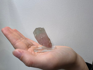 Bi-Color Tourmaline