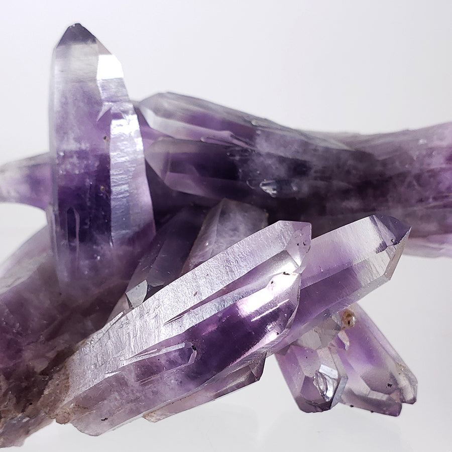 Guerrero Amethyst Cluster from Amatitlan, Guerrero, Mexico