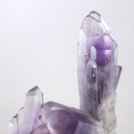 Guerrero Amethyst Cluster from Amatitlan, Guerrero, Mexico