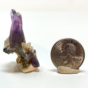 Amethyst Cluster from Guerrero, Mexico