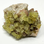 Yellow Fluorite on Quartz from the El Hammam Mine in Morocco