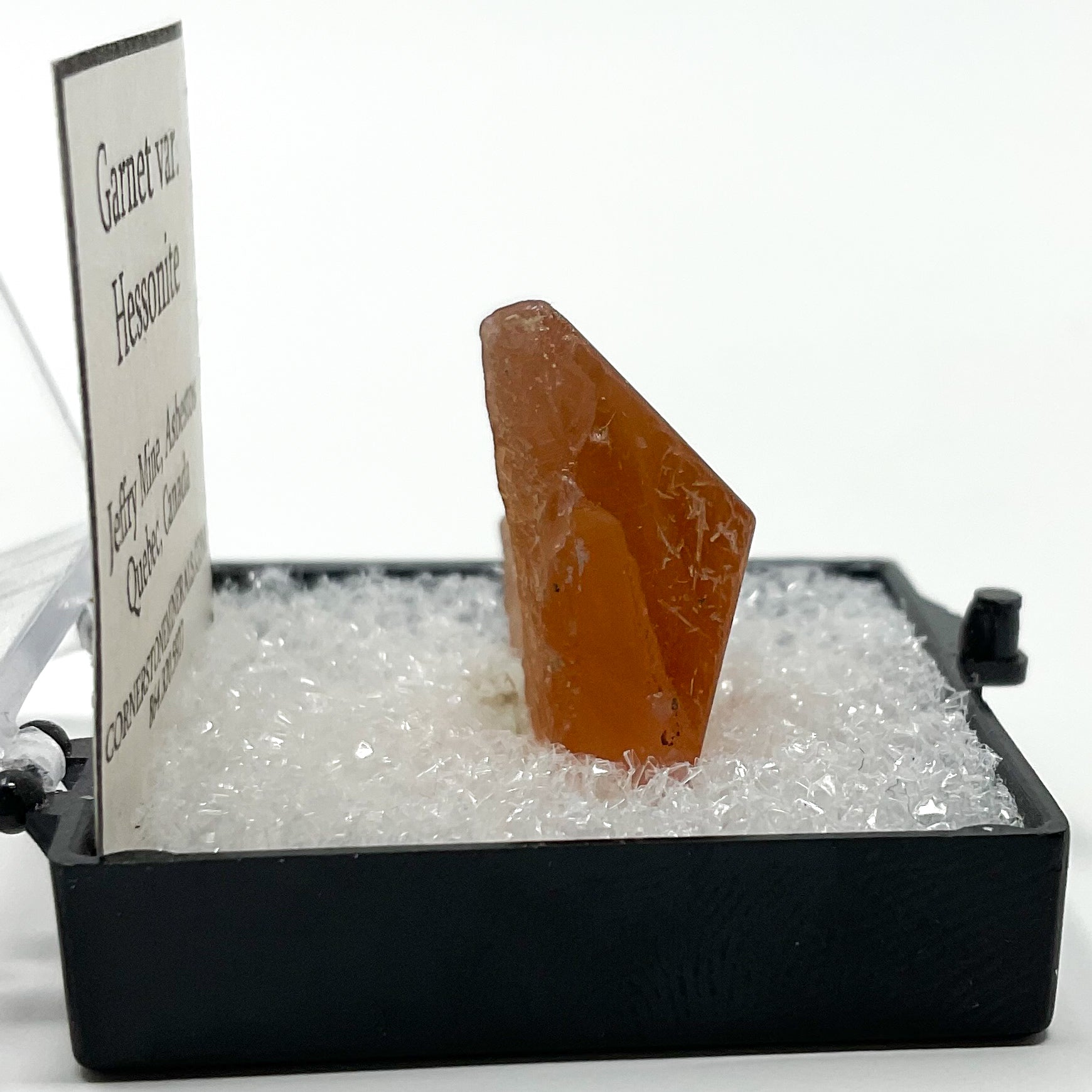 Hessonite Garnet Thumbnail from Jeffry Mine in Asbestos, Quebec, Canada
