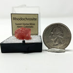 Crystalized Rhodochrosite Thumbnail from Sweet Home Mine Colorado