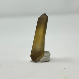 Natual Double Terminated Citrine Point from Shaba Zaire, Monte Casino, South Africa
